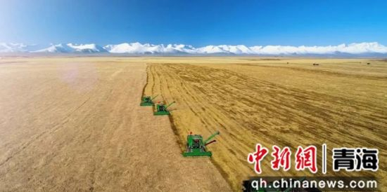 贵州迎战青海,双方实力均衡,谁能取胜? 贵州迎战青海,双方实力均衡,谁能取胜?