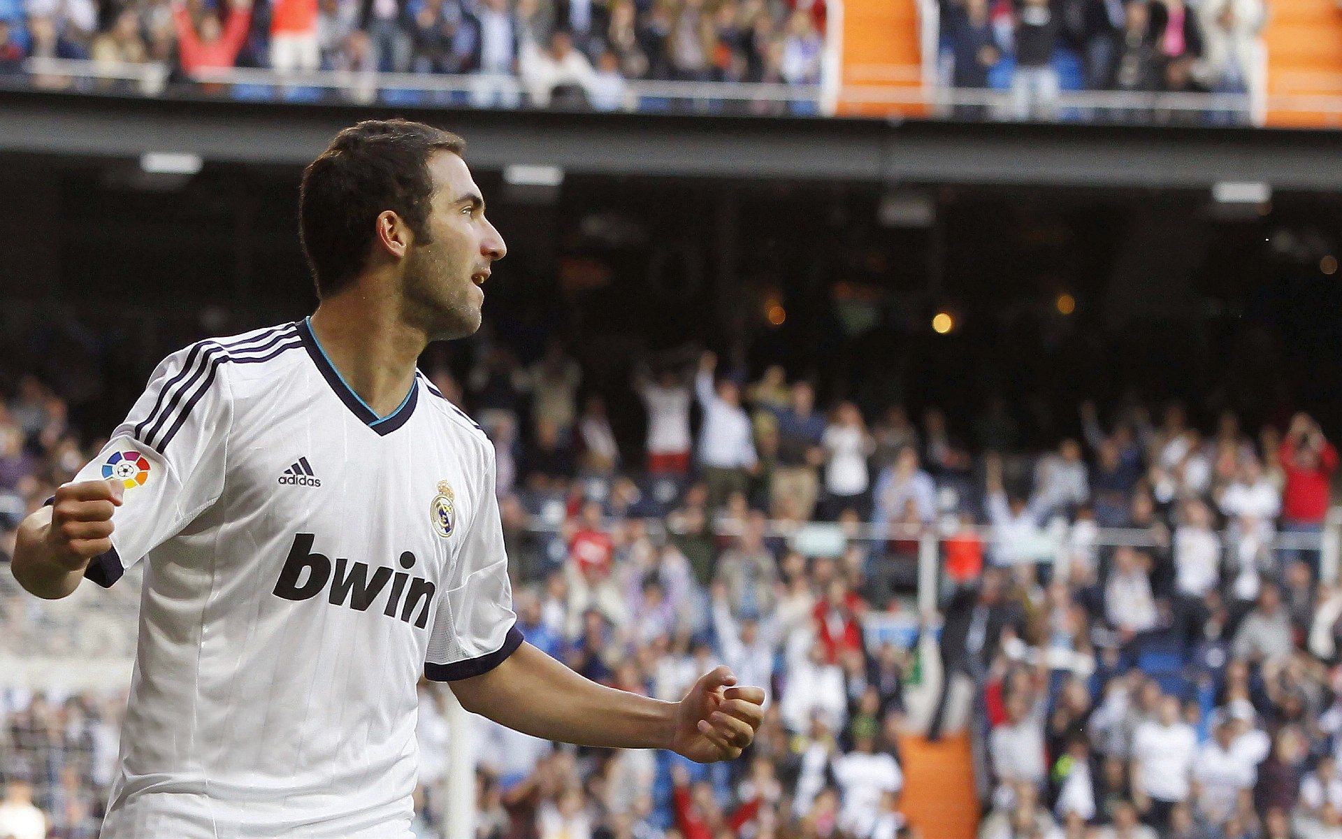 F1新赛季与南美足坛风云，速度与激情的双重奏